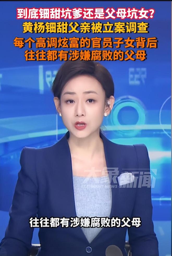 价耳环”不了了之黄杨钿甜星光灿烂？不朽情缘版已拿三家名校合格证！“天(图18)