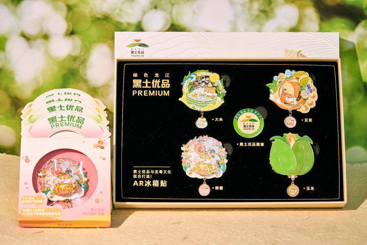 者王婧：用文创产品让城市IP“活起来”不朽情缘登录黑龙江五一五四双奖章获得(图4)